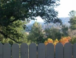 DSCN0423 c