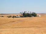 DSCN0409