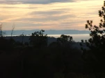DSCF0181