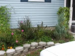 DSCF0042