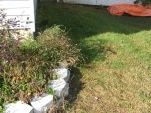 DSCF0062
