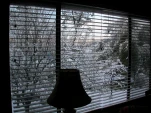 DSCN0561
