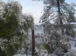 DSCN0565