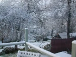 DSCN0559
