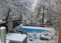 2006-1 Winter