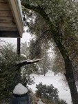 20191129 133409