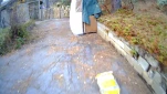 2020121107383536