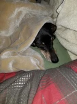 Fritz 20190110 213719