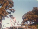 Scan 347