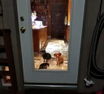20190411 000037