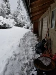 20190205 132113