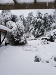 20190205 132830