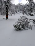 20190205 140026