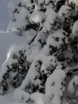 20190205 160830