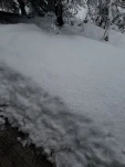 20190217 151321