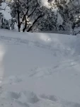 20190205 160829