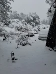 20190217 145224
