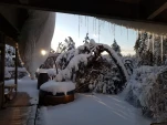 20190206 072411