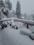 20190217 112116