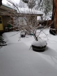 20190205 132134