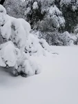 20190205 154952