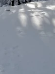 20190205 160722