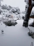 20190205 071040