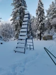 20190205 162525
