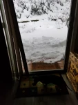 20190205 132711