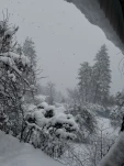 20190217 145142