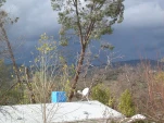 DSCN0546