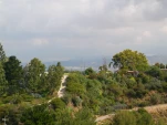 DSCN0498