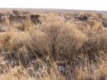 DSCF1148