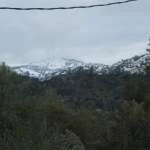 DSCF1312 t