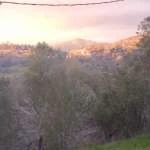 DSCF1308 t