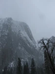 DSCF1451