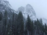 DSCF1445